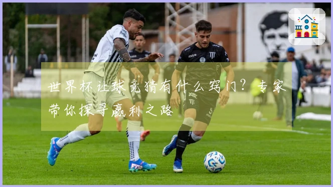 世界杯让球竞猜有什么窍门？专家带你探寻赢利之路