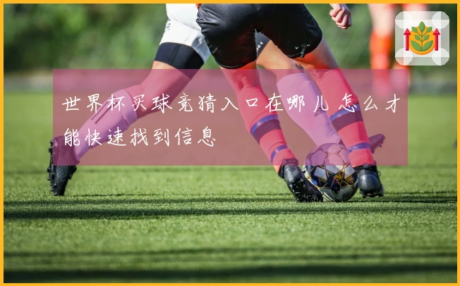 世界杯买球竞猜入口在哪儿 怎么才能快速找到信息