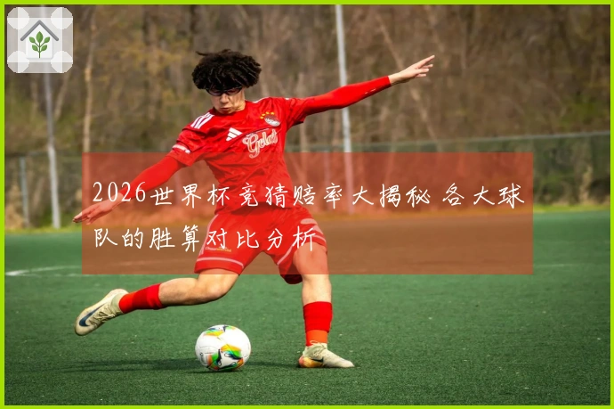2026世界杯竞猜赔率大揭秘 各大球队的胜算对比分析