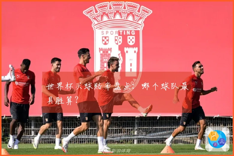 世界杯买球赔率盘点：哪个球队最具胜算？