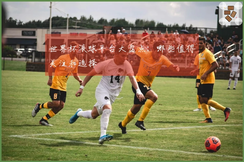 世界杯滚球平台大盘点：哪些值得关注和选择