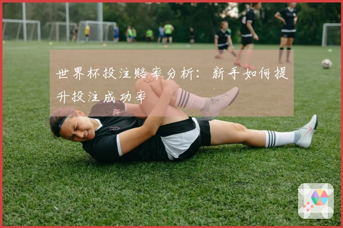 世界杯投注赔率分析：新手如何提升投注成功率