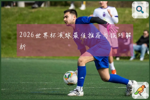 2026世界杯滚球最佳推荐与技巧解析