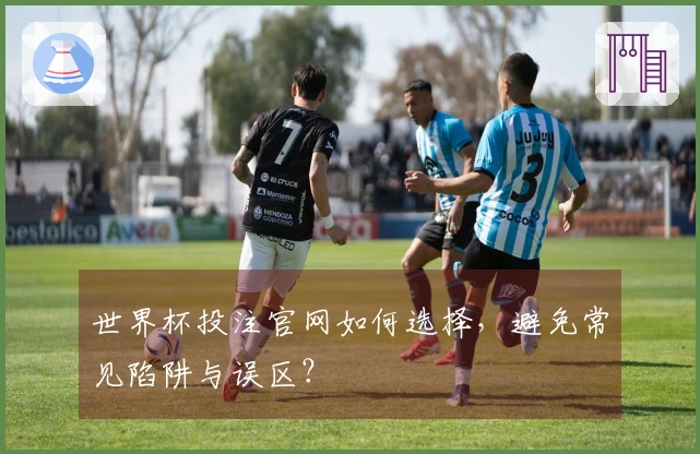 世界杯投注官网如何选择，避免常见陷阱与误区？