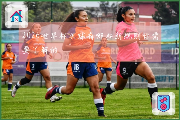 2026世界杯买球有哪些新规则你需要了解的