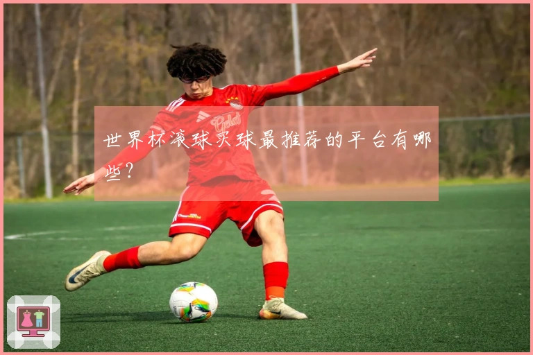 世界杯滚球买球最推荐的平台有哪些？