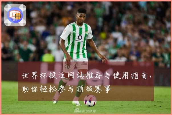 世界杯投注网站推荐与使用指南，助你轻松参与顶级赛事