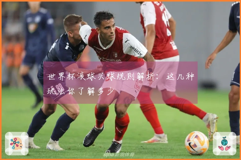 世界杯滚球买球规则解析：这几种玩法你了解多少