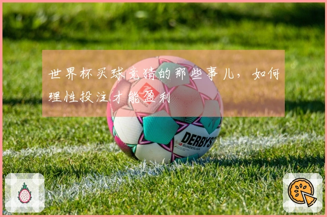 世界杯买球竞猜的那些事儿，如何理性投注才能盈利