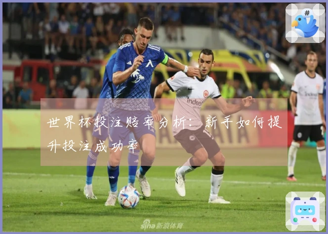 世界杯投注赔率分析：新手如何提升投注成功率