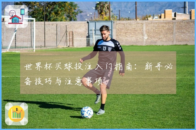 世界杯买球投注入门指南：新手必备技巧与注意事项