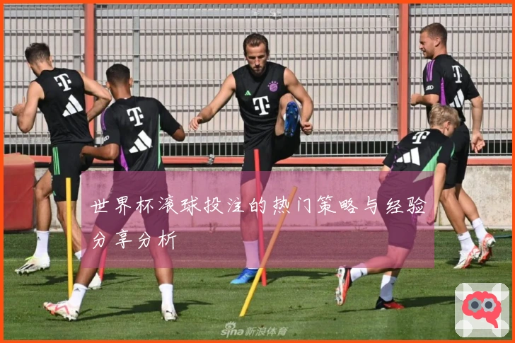 世界杯滚球投注的热门策略与经验分享分析
