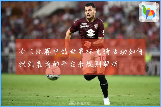 冷门比赛中的世界杯竞猜活动如何找到靠谱的平台和规则解析