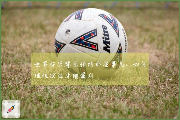 世界杯买球竞猜的那些事儿，如何理性投注才能盈利